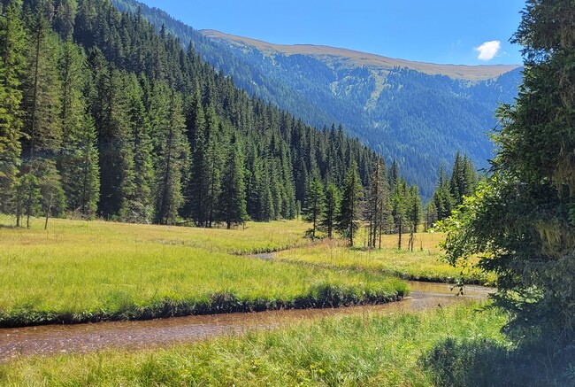 Die idyllische Moorlandschaft der „Möser“ bietet sich als Ausflugsziel an.