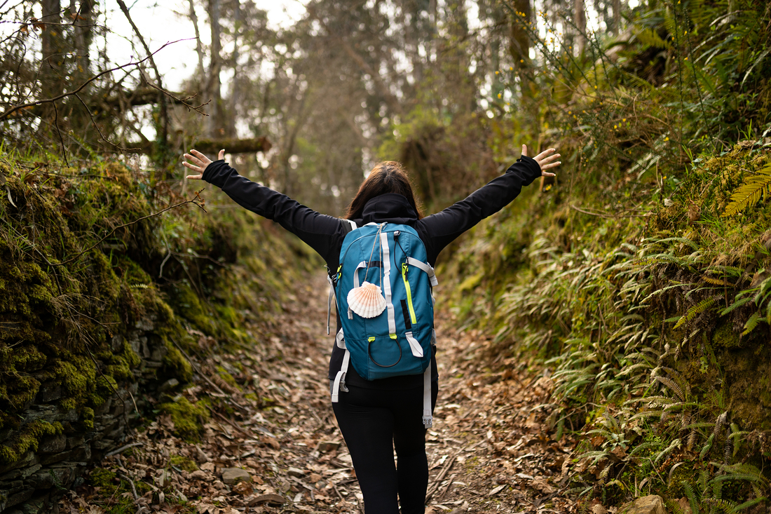 Gehen,  um Wege zu sich selbst zu finden. Es gibt in Salzburg und Oberösterreich zahlreiche Pilgerwanderungen zur inneren Einkehr.