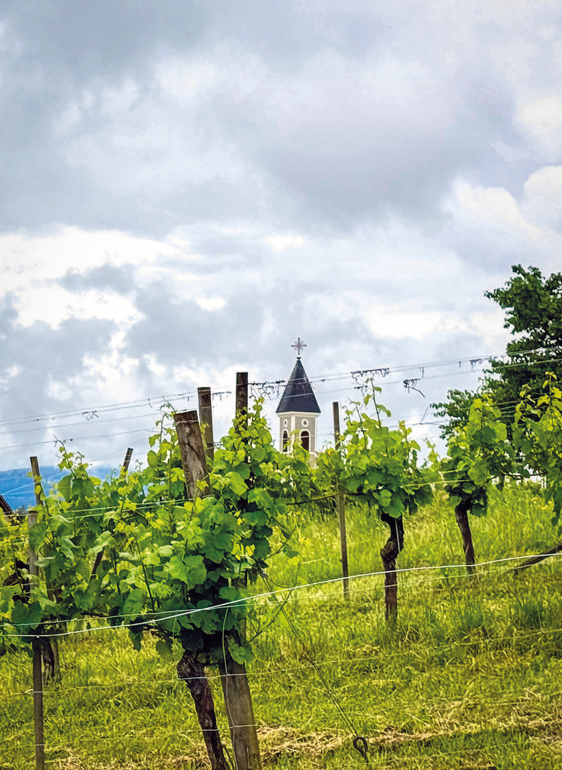 Kapelle des Marathonläufers - Die Osterkreuzkapelle blinzelt zwischen den Weinstöcken hervor. Sie liegt in Reiteregg in der Gemeinde St. Bartholomä westlich von Graz.