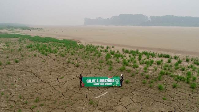 Großes Bild: „Salve a Amazônia“ („Rettet Amazonien“) – Vertreterinnen und Vertreter von MAB im August 2024 mit einem Transparent im ausgetrockneten Rio Madeira, einem der großen südlichen Zuflüsse des Amazonas.