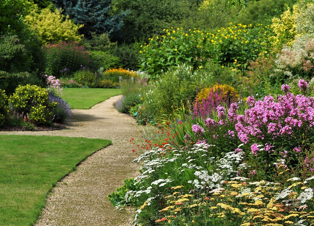 Wer seinen eigenen Garten anlegen  und gestalten will, sollte in Zukunft auf Gehölze setzen, die winterhart sind  und gleichzeitig mit Trockenheit und Hitze gut umgehen können.