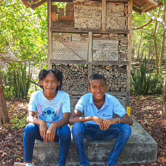 Hoteliers im Paradies: In der Oase lernen junge Menschen die Bedeutung eines Insektenhotels oder eines Bienenhauses für die Pflanzenwelt kennen. Die Universität Cartagena macht zum Naturschutzprojekt Begleitforschung.