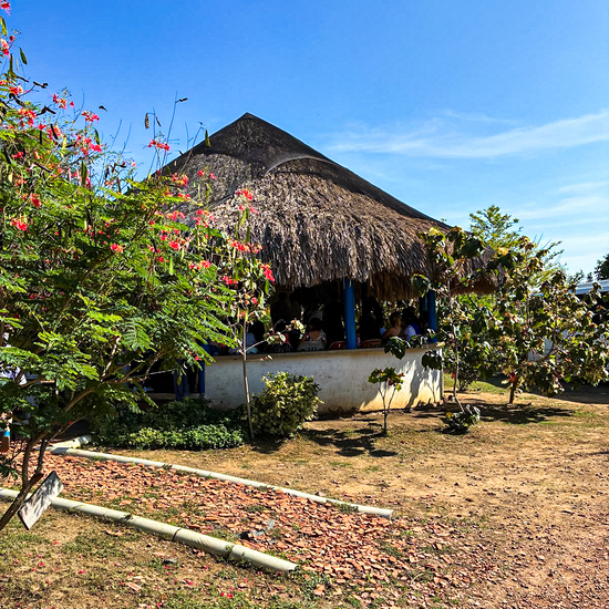 Palmenhaus und Lehrpfad. Im natürlich klimatisierten Pavillon bietet FMHM kostenlose Kurse an und bildet Interessierte zu Landschaftspflegern aus, von denen es an der Karibik-Küste zu wenige gibt. 